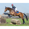 copy of Eventing guêtres ouvertes patte arrière technical
