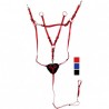 Collier de chasse / martingale DASLO