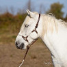 Licol corde et cuir + longe assortie