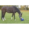 Balle à jouer pour cheval