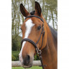 Bridon Bitless Richtan sans mors - TREADSTONE