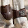 Protèges boulets Royal Anatomique pour jeunes chevaux - Back on Track