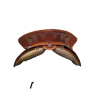Selle Portugaise