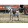 Selle western WESTRIDE "Topeka" - WESTRIDE