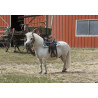 Selle western WESTRIDE "Topeka" - WESTRIDE
