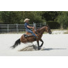 Selle WESTRIDE by Franck Perret "Aurora" - WESTRIDE