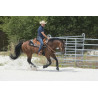 Selle WESTRIDE by Franck Perret "Aurora" - WESTRIDE