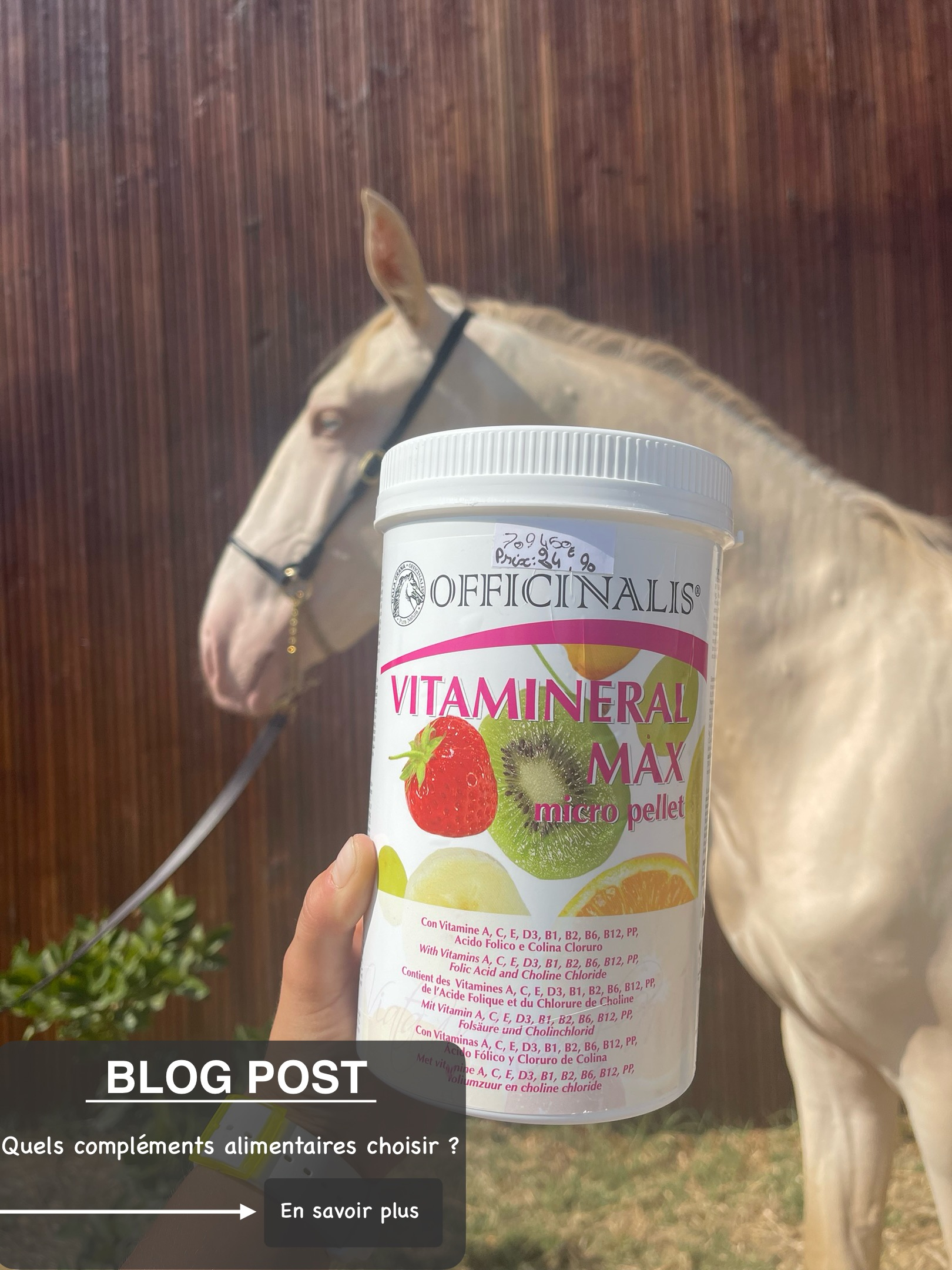 Quels compléments alimentaires choisir pour son cheval ? 